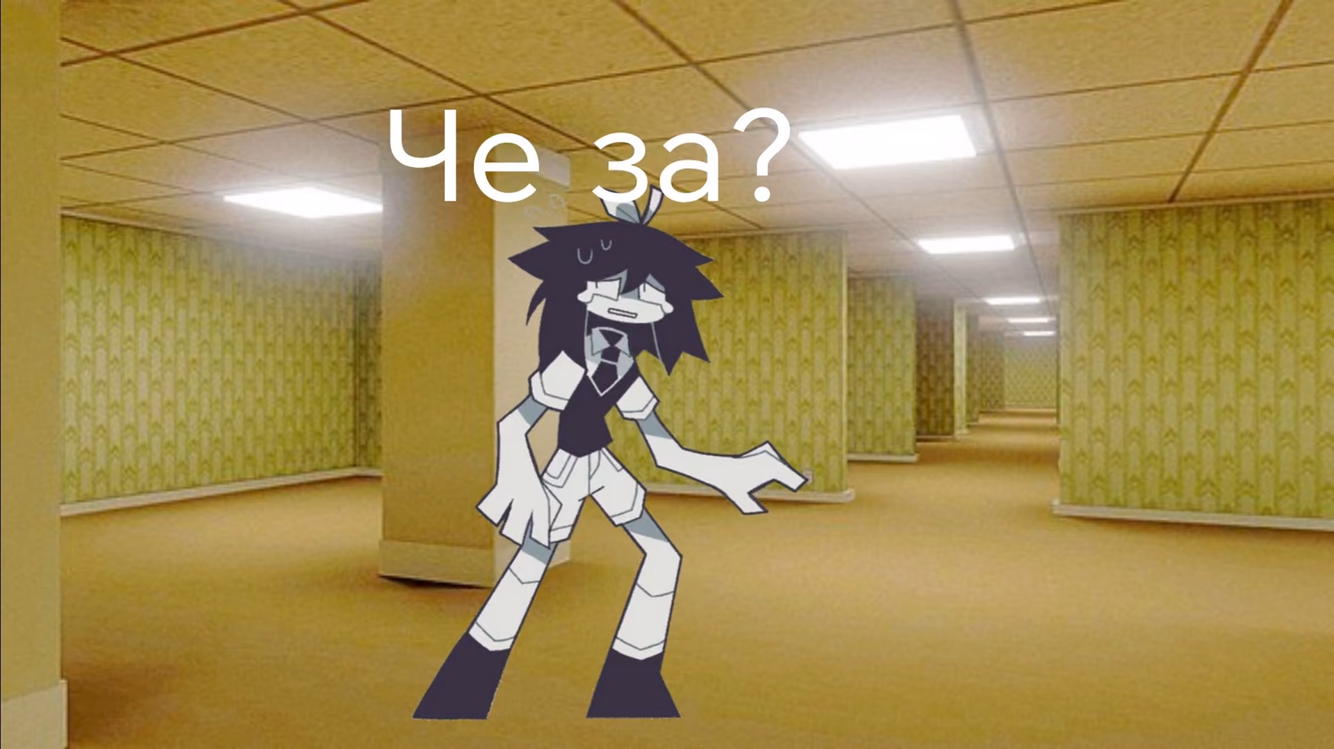 97a4d1c1505a298a740d214369464d0c.jpg