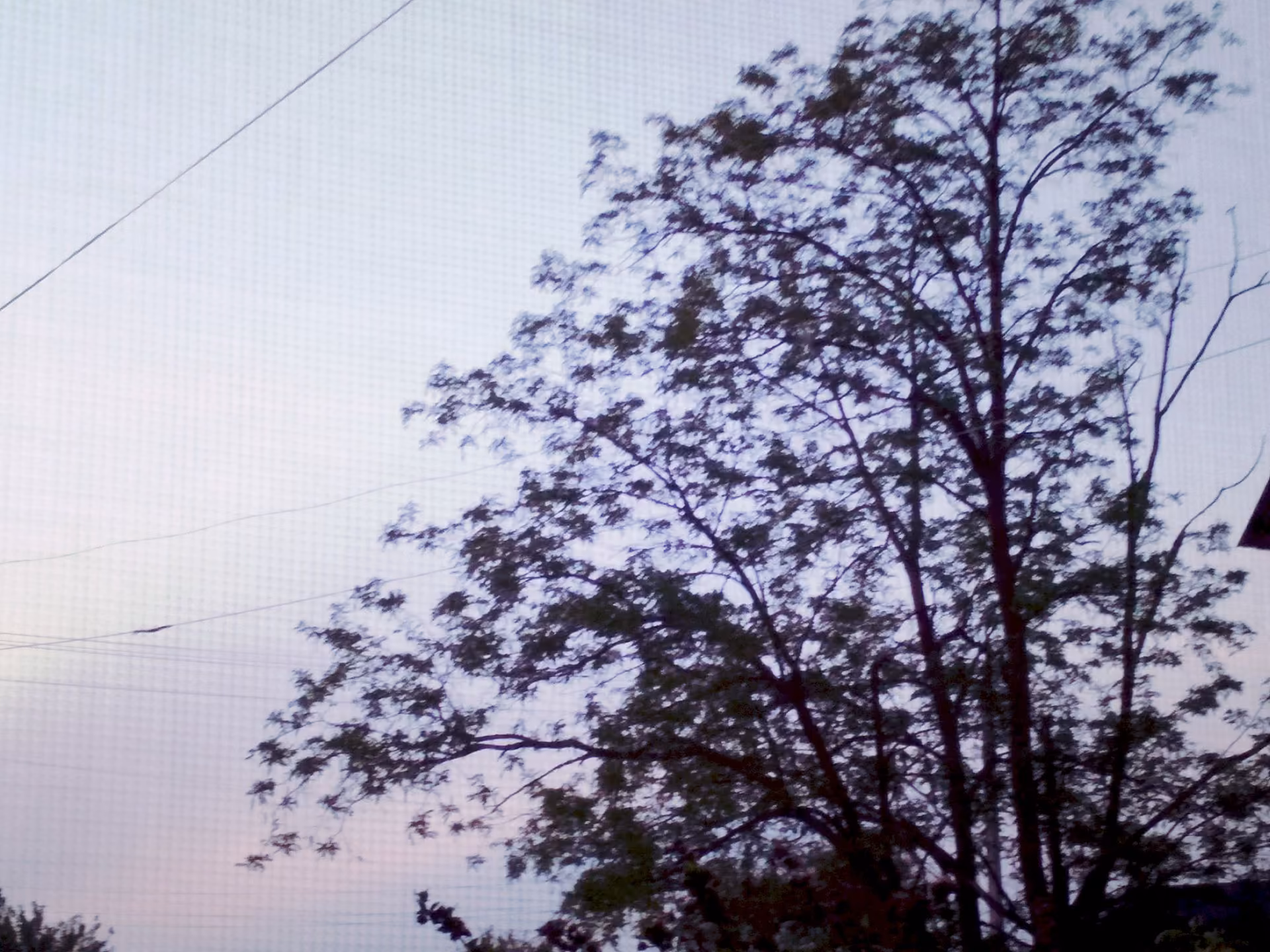 97a9ef32228578763cc36b8a9c59b1c1.avif