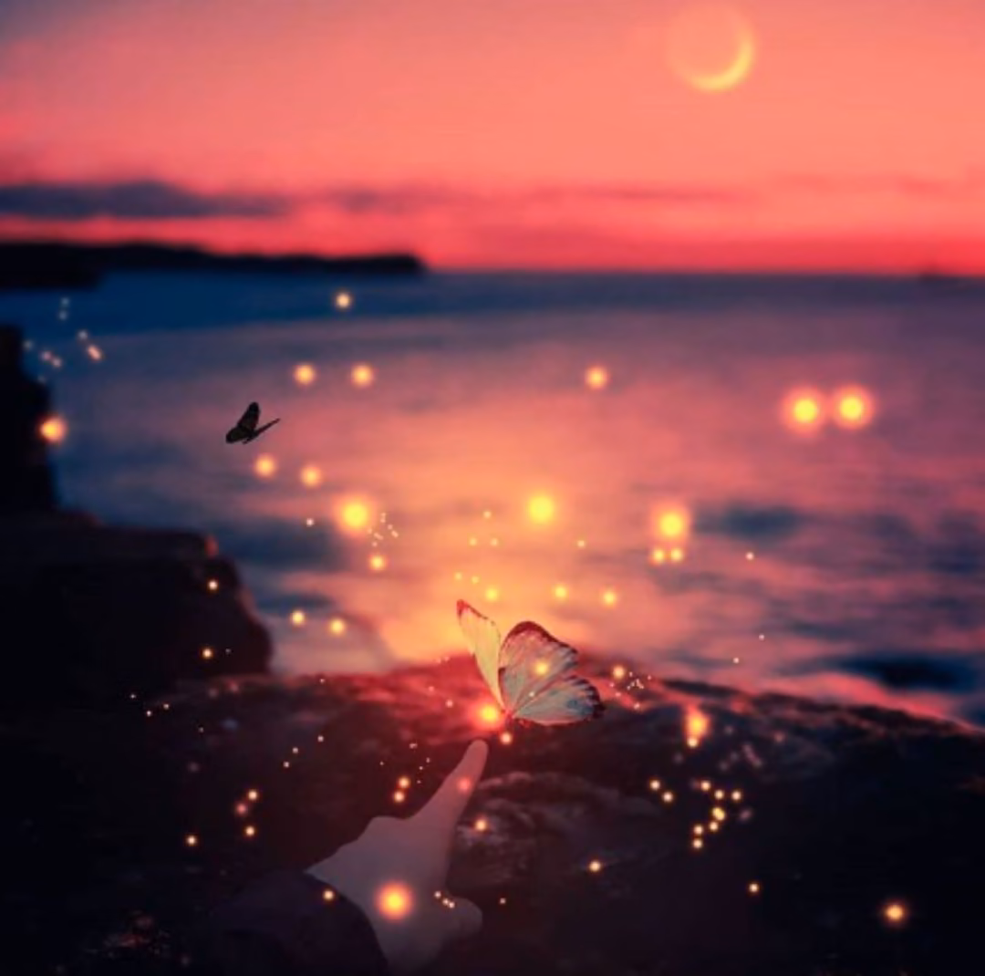 97b88ec638c60f1080a9a8d14e1f209f.jpg