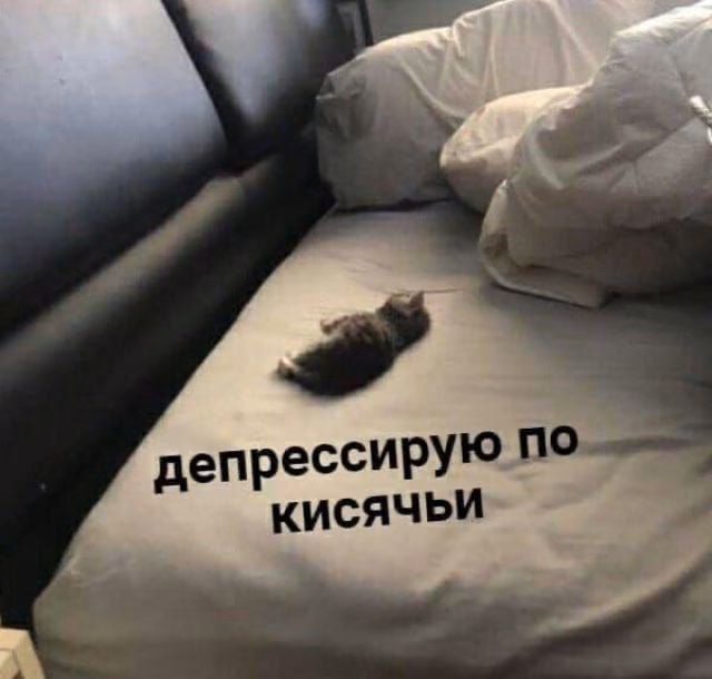 97c3062690947c65d89cd71b1ca4980d.jpg