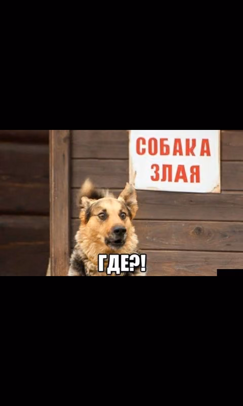 97ca696ca6b3078d4ddbcf708bb54ce0.avif