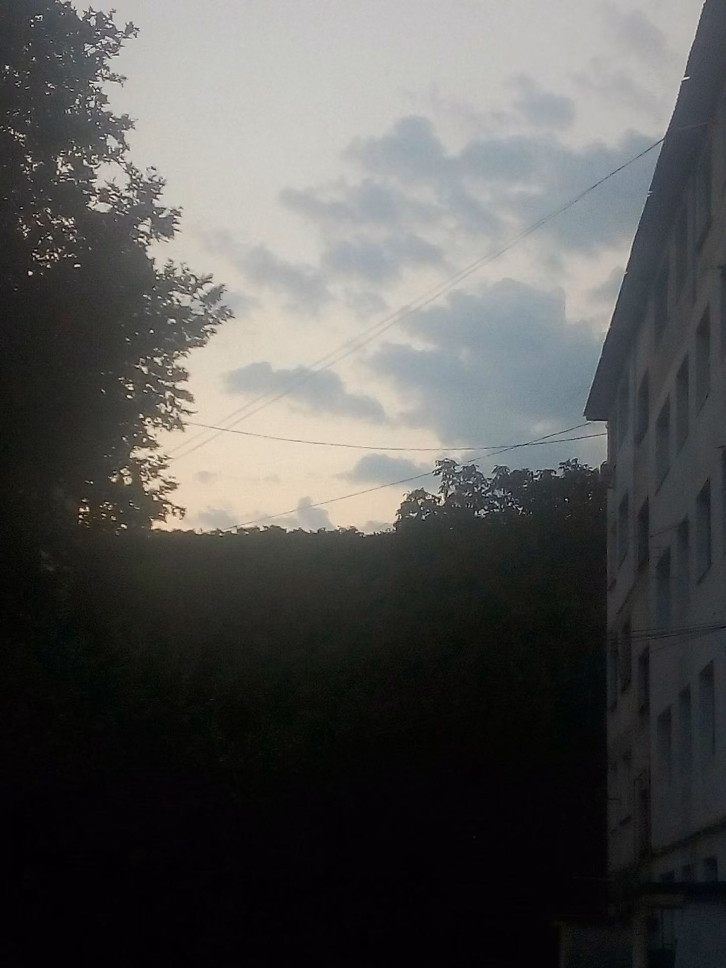 97d549da64cccf76d6d29deb41de2515.jpg