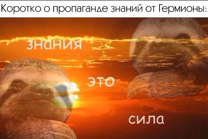 97e3390d13d7bc91907cdff6bd103227.avif