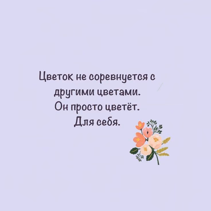 97e8d47b7be5bfa72f79140aafe0ae7d.avif