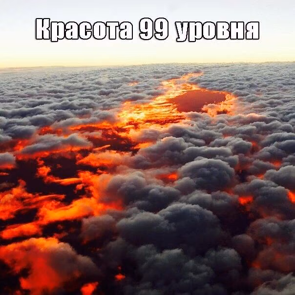 97f549d2a0814b951a7488e7a8609e20.jpg