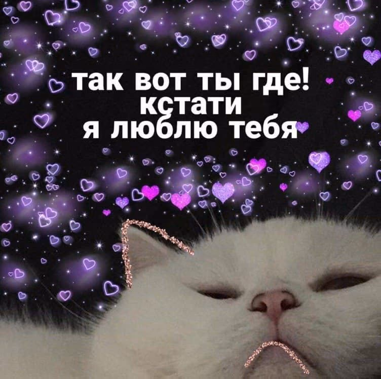 97ff829bacba98ded239b22faf7bd65a.jpg