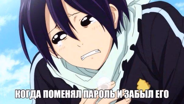 98033c5b5579cc0f9c36c294f189fb86.avif