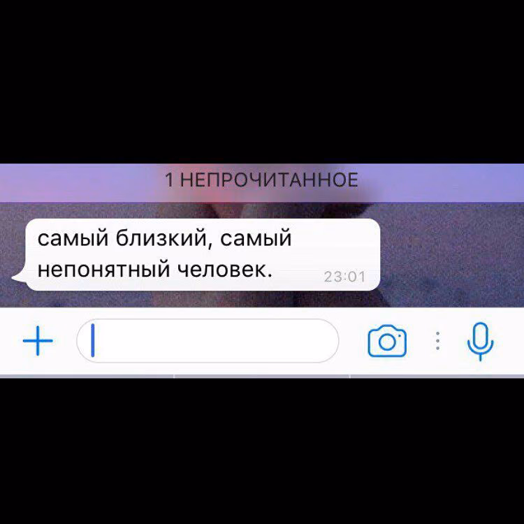 9805e52c0a44d1215031ee91dab1e9b1.avif