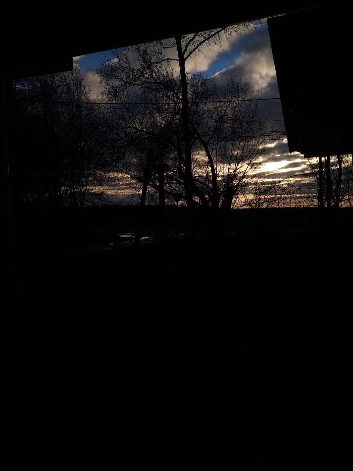 981040ee018656d965985558c28bbd58.jpg