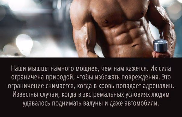 9827c9ce90f7ffe37cd99f738a90cdcb.avif
