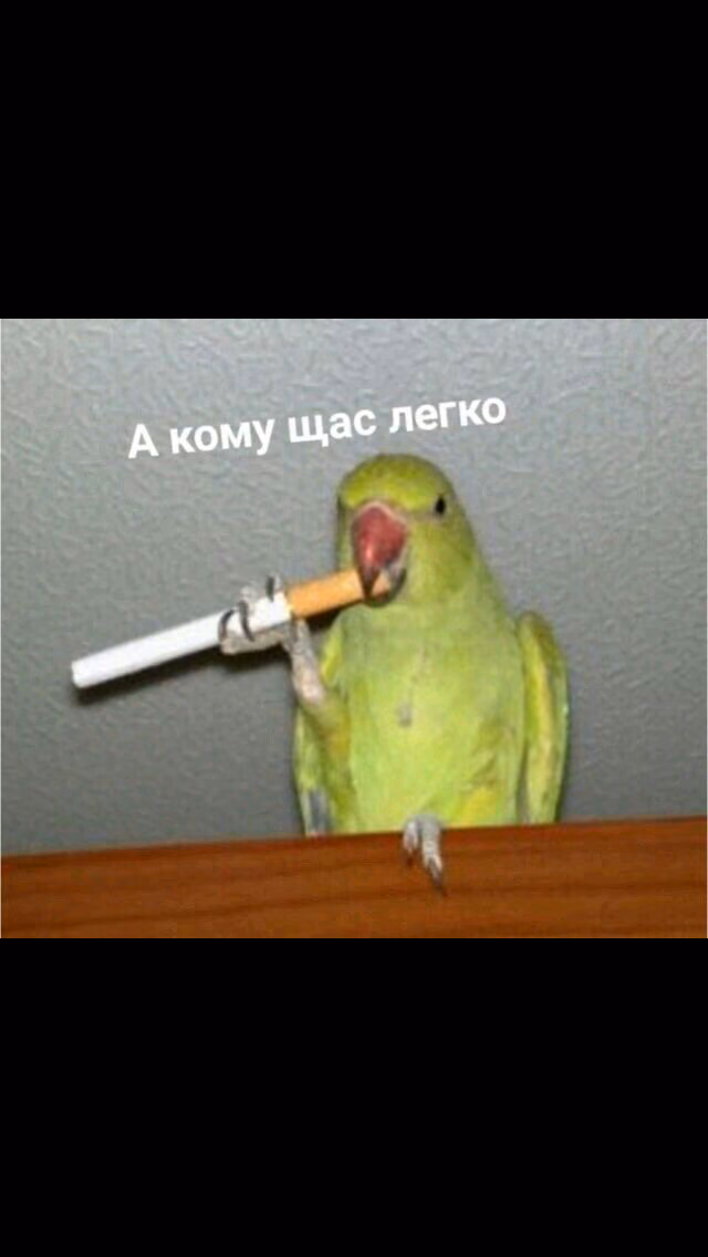 9853e7a579369a2c9fafc79d1d403f22.avif