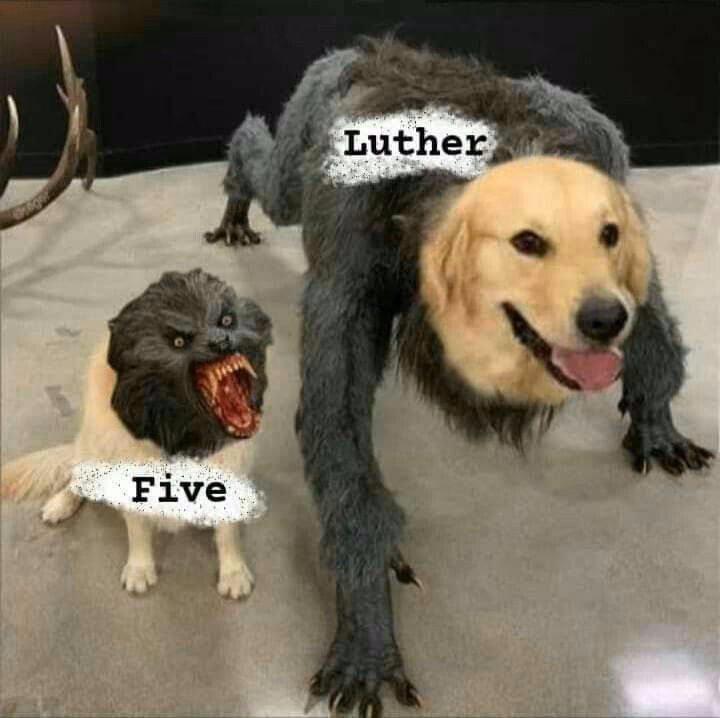 9858142a6145e8d43d08142e103eec2d.avif