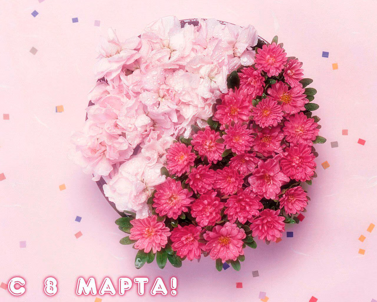 9864c6a5444aa13d08a2ff5f9bcfd0e0.avif