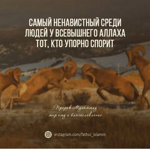 9874f4391c7d1767e22d3a82b83761dc.avif