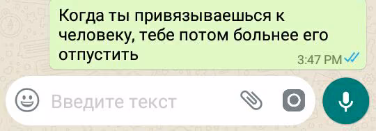 987e0b563c61f3d6e0297f1f3aab3a6a.avif