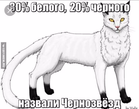 989a9c2524a94f6b3ca5dbf09520879d.avif