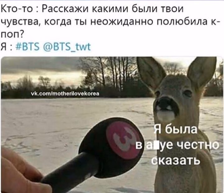98a8b7409942c7d72ffd3fe286bec592.avif