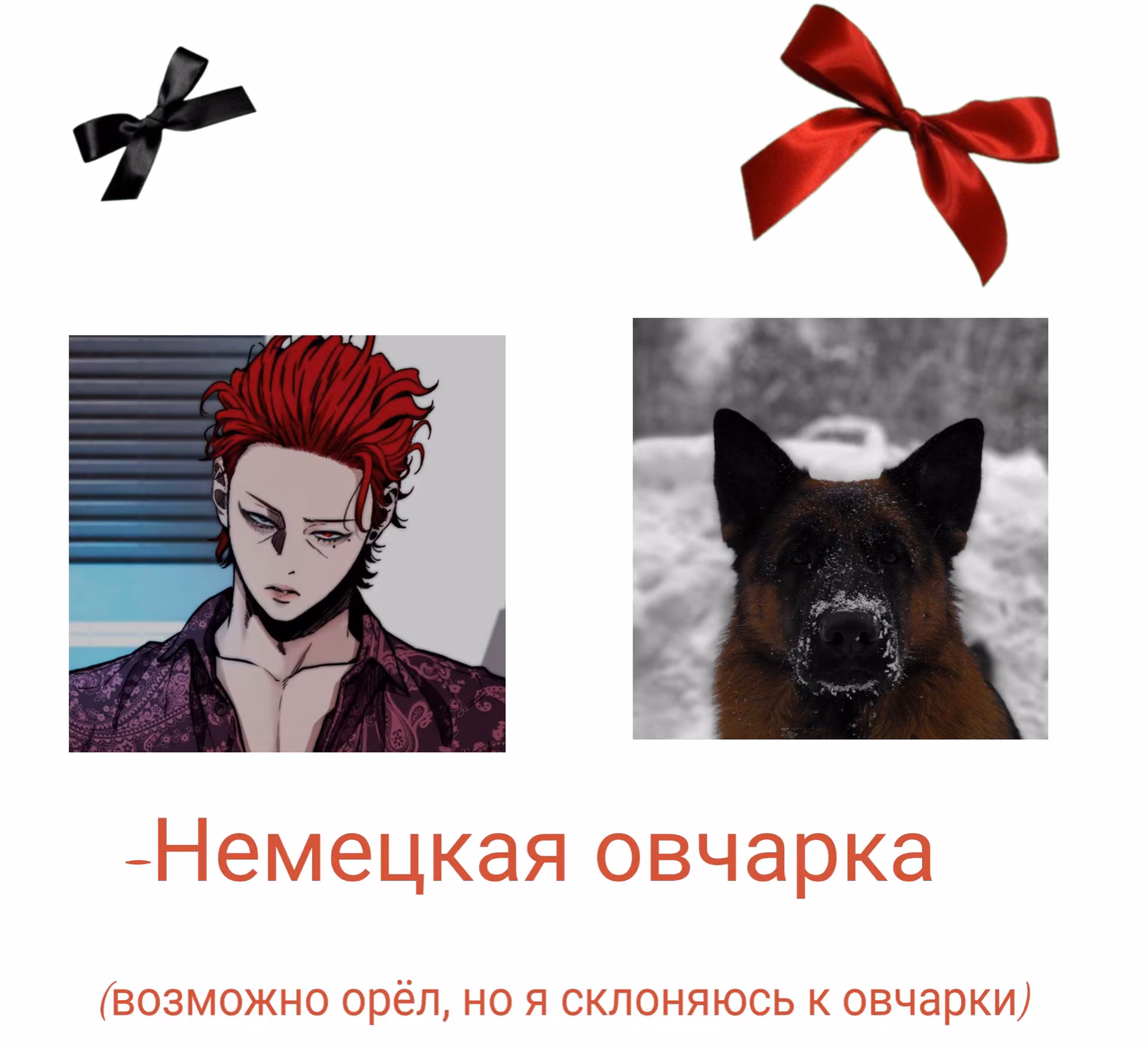98db1587ccac763476f66a23759c2bd9.avif