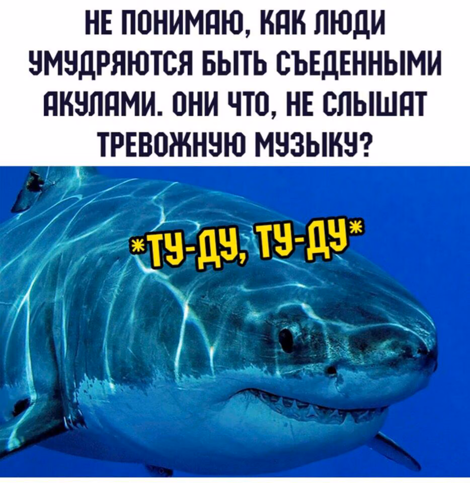 98ef5cdb1ebf417e2ac1870d99c7bb89.jpg