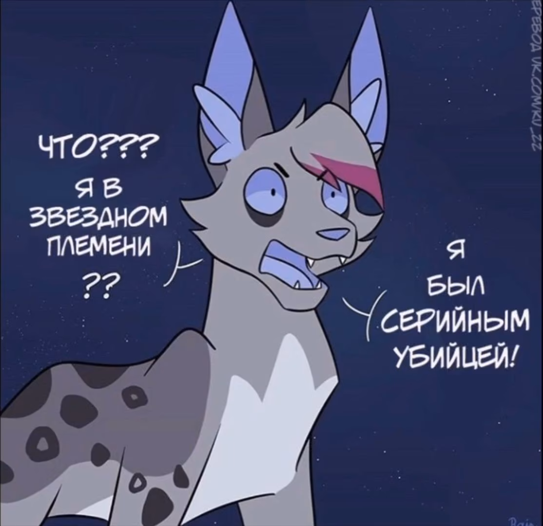 98f1347b369bd3a3a49dbc0a29ec77f5.avif