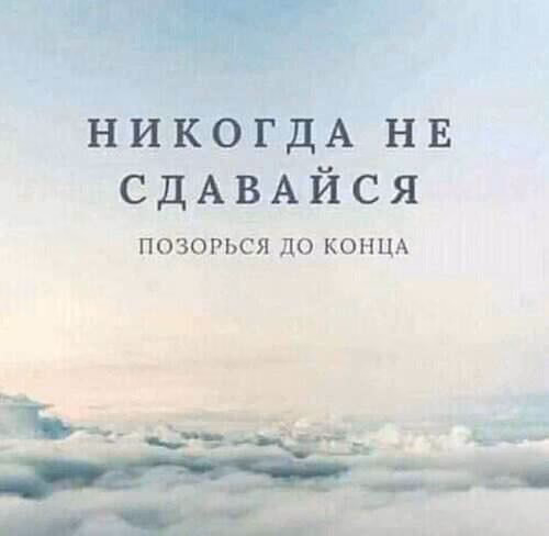 98f6b0d7211e3bd164db0399567d825d.avif