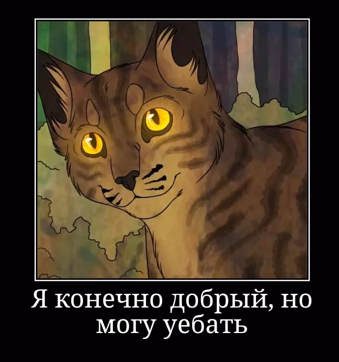 990cc3c6554f85e20132ef97f615848a.avif