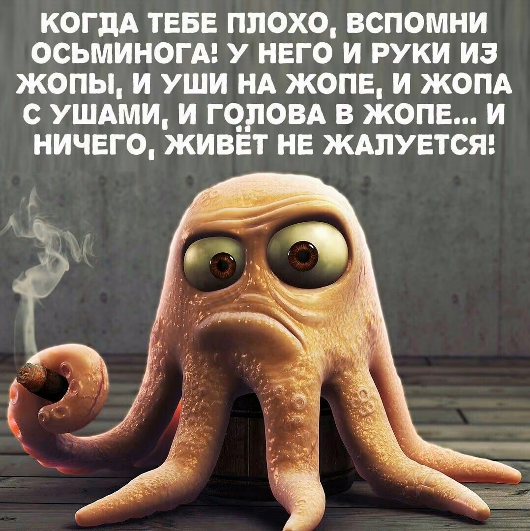 9914785a11ea60d31666335ca496e315.jpg