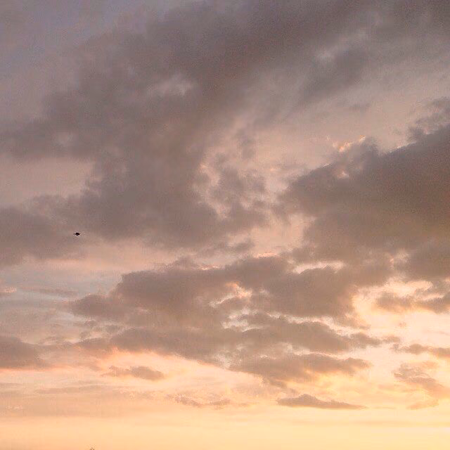 993520363f6832e740ca9709ff34336a.avif