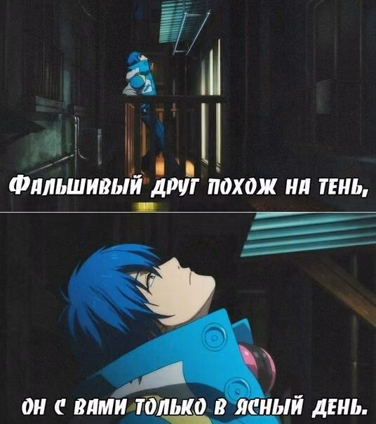 9938f3c4773a0f77a59dc0d001dc4594.avif