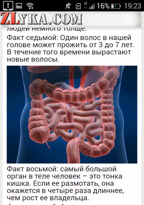 993b77035d4e4c80beeae06255fdbbd9.jpg