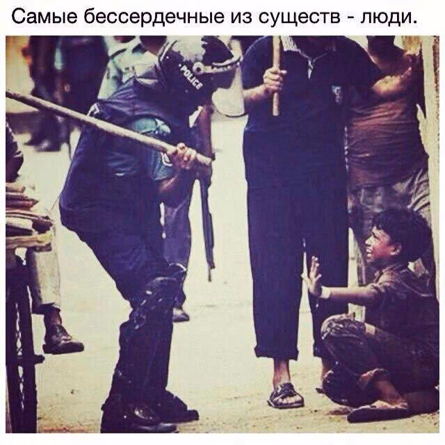 995770d75f02e98a18ea55d9a6a81cb7.jpg