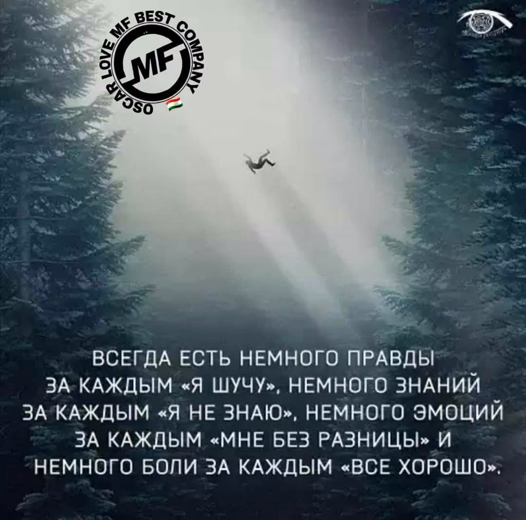 995b38386bbbee65de457ec1b2ea70b8.jpg