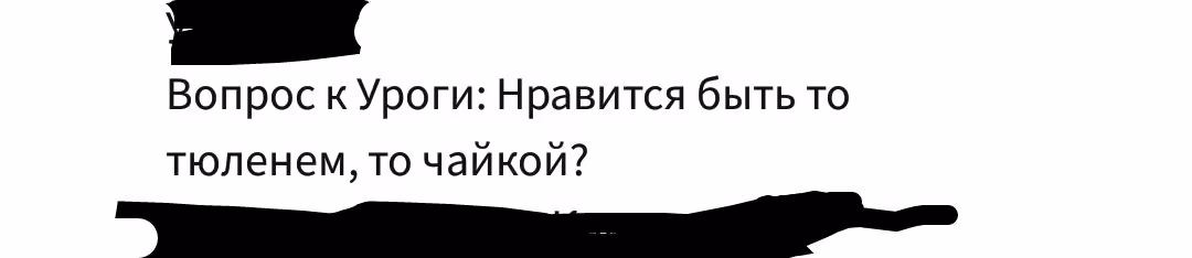 997726df7bbf182bfc3822dc182d7df2.jpg