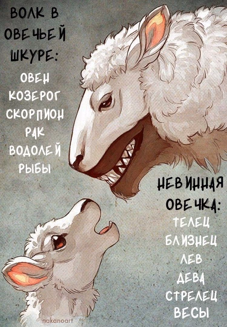 9980fb3677913b79e172ad15e9bb79f0.avif