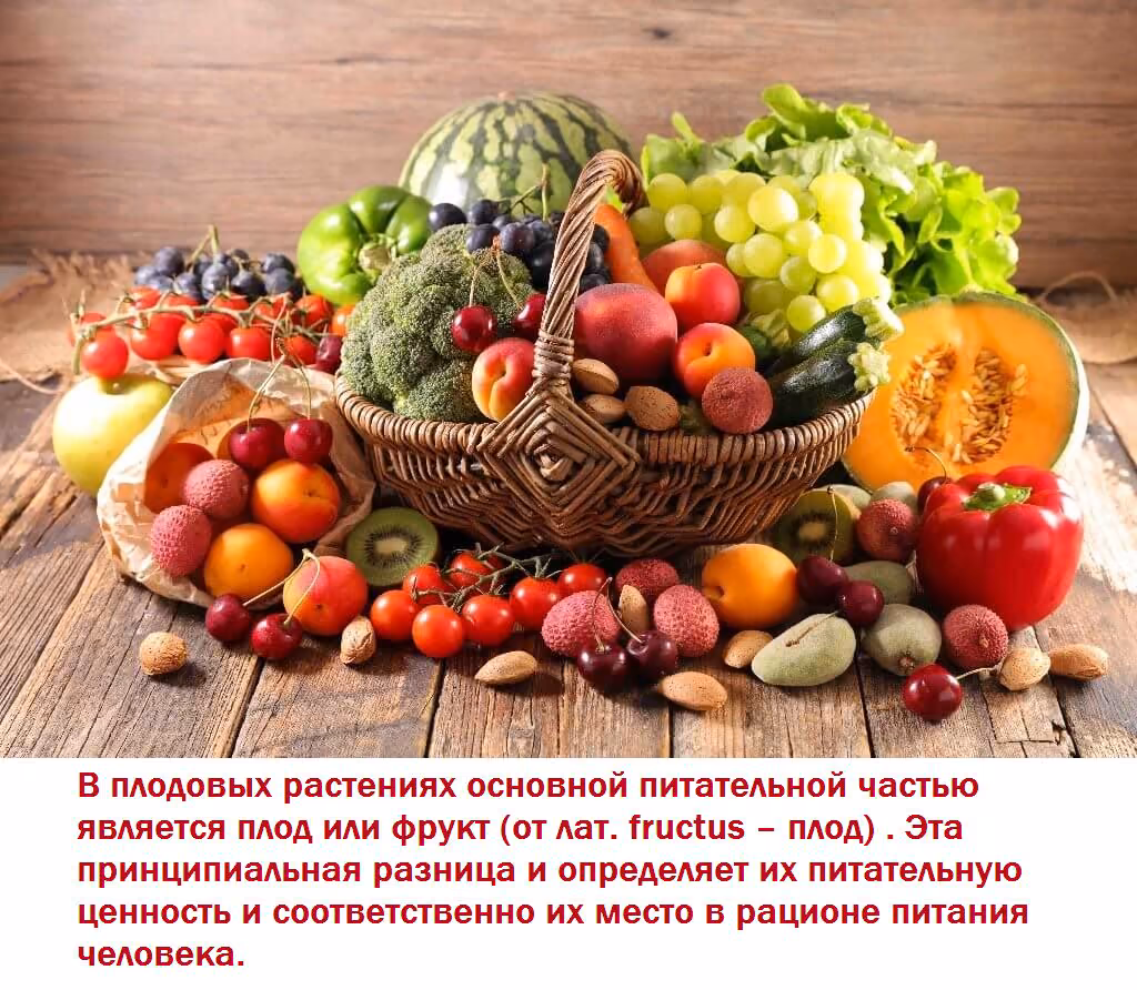 99816cecd60bbb27590e96fade8af111.avif