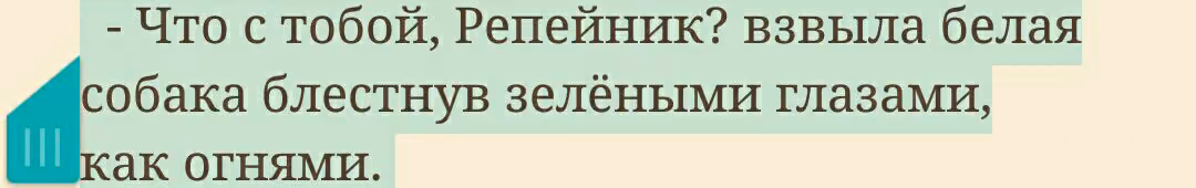 998396a8d7be9dfb3f76baaf0fc0d11c.jpg
