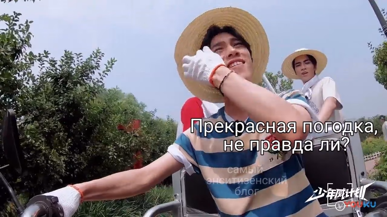 9987ce19ebf4f9ad59df022235e6695e.jpg