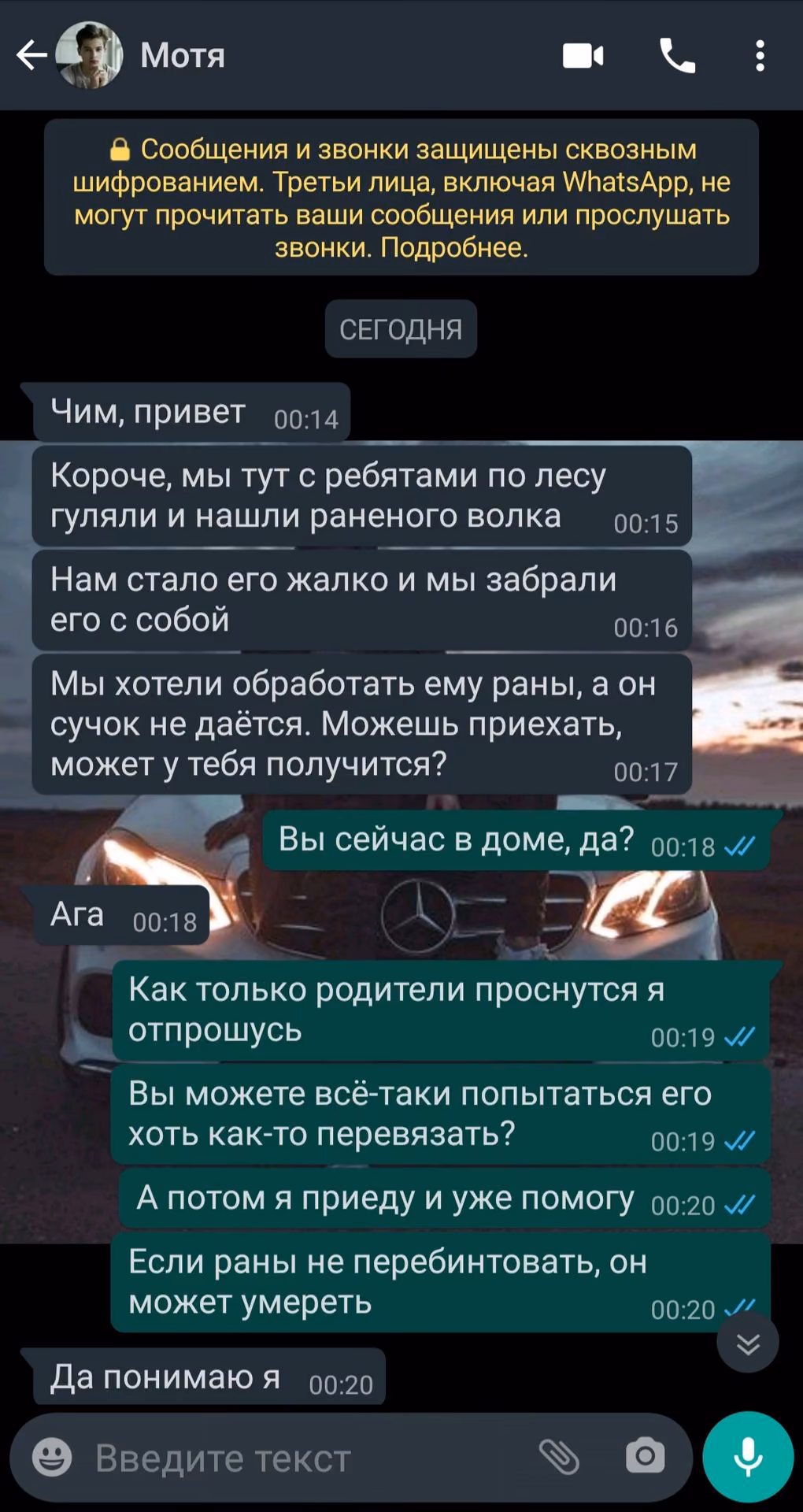 9991bcf5c073bae00896bf07b3c4fcb3.avif