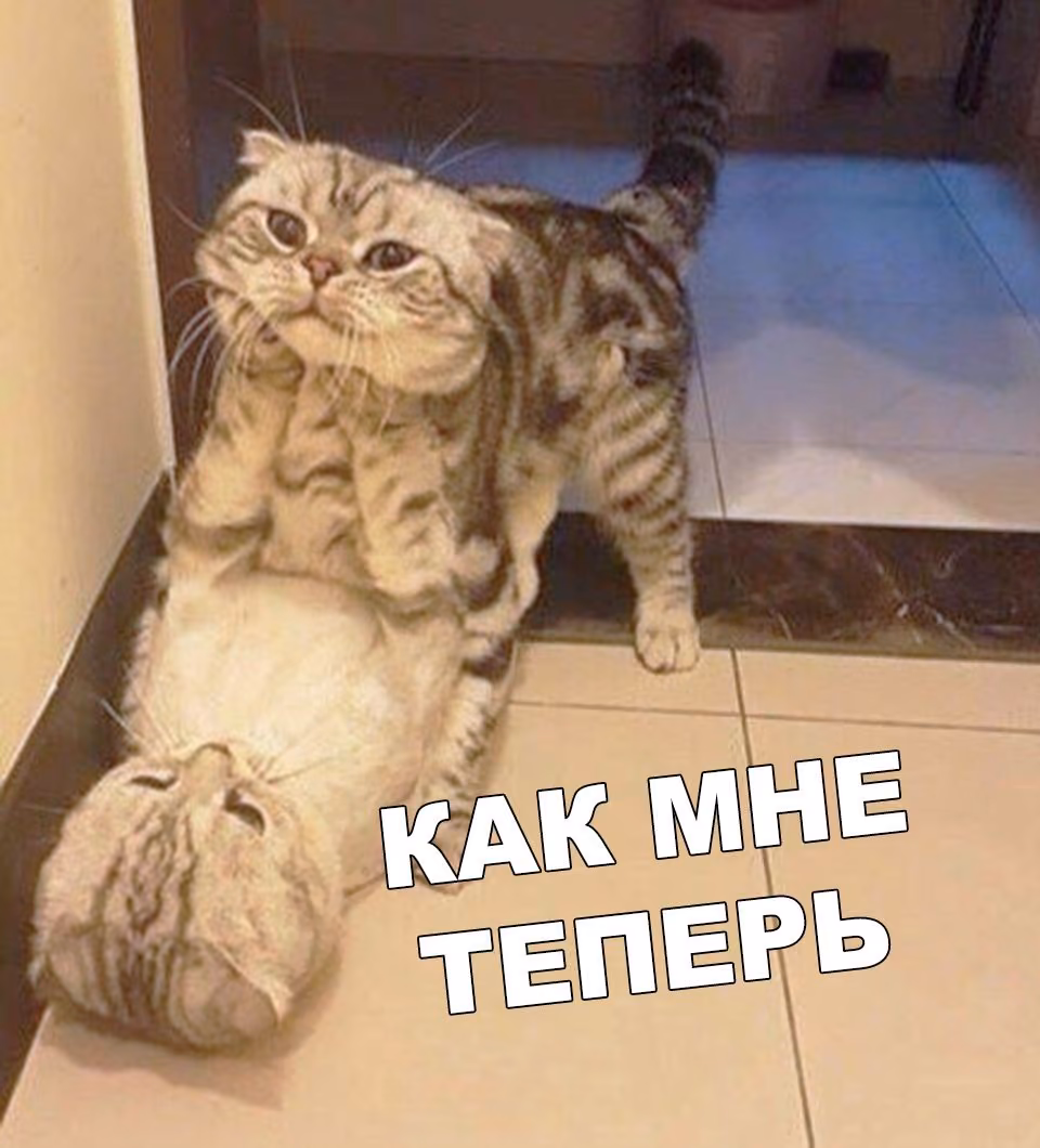 9993024cc8fb4b620b97b631fff01b4f.jpg