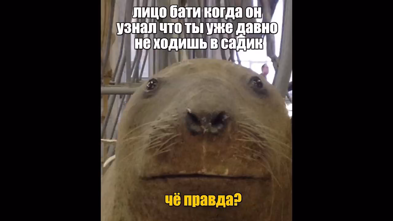 99b181435e0771d7c46e6611874207c5.avif
