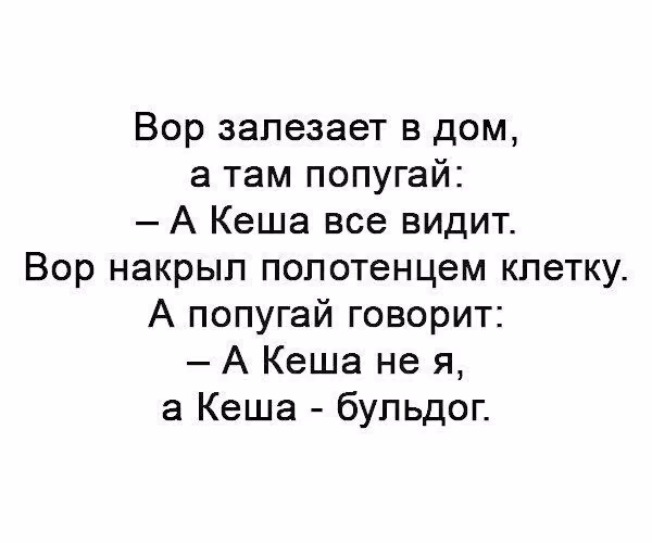 99d7144ec43805bcd88a7b85d86a9337.avif