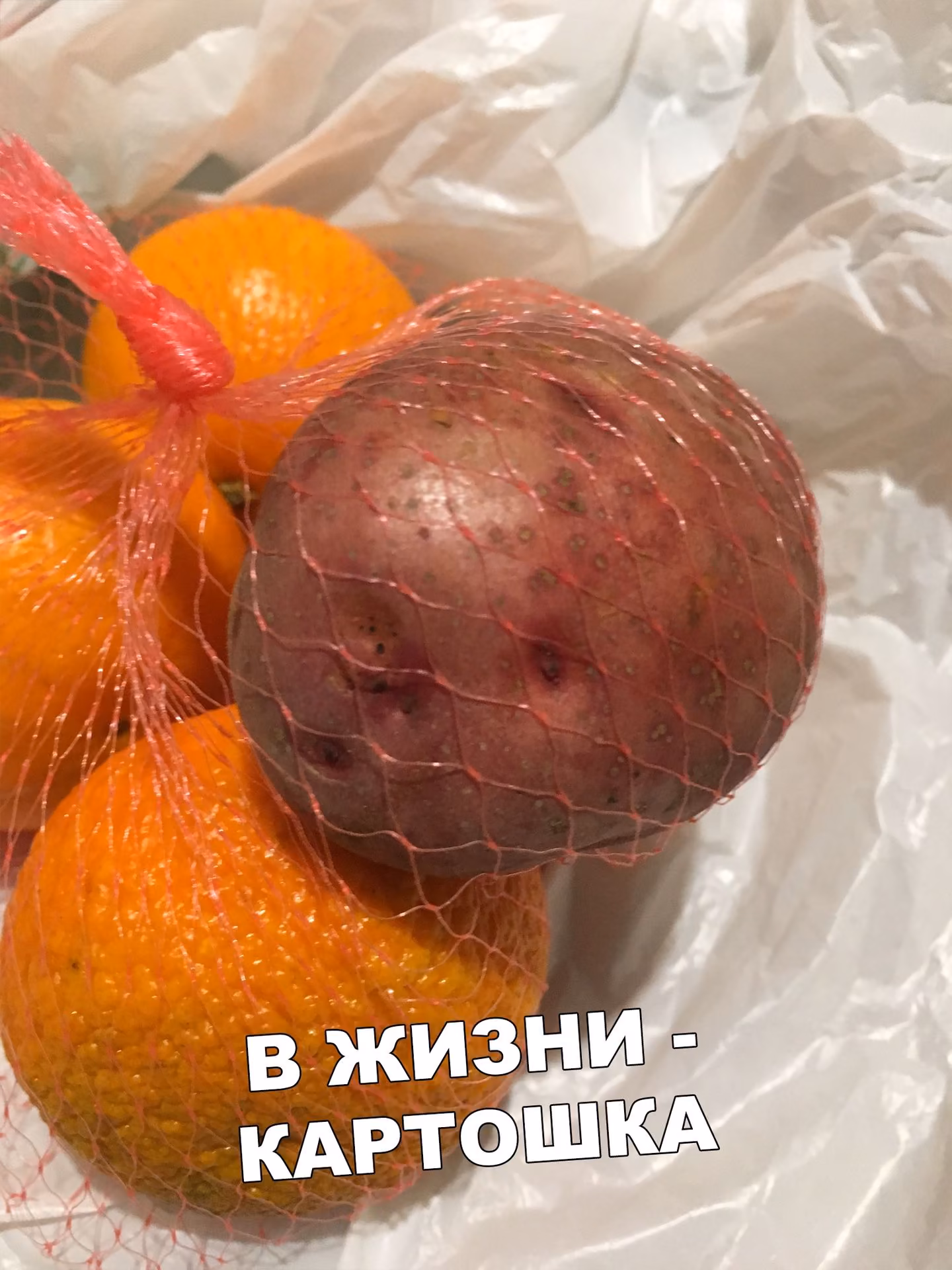 99f1e755739e9ab6ed95e213a1086886.jpg