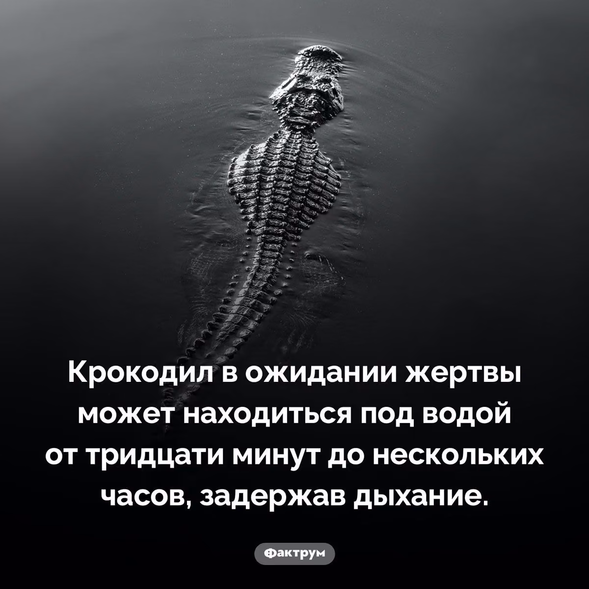 99f769df1b4acb052fdab1b36671e368.avif