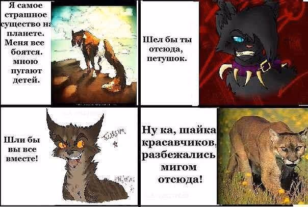 9a0ea84617d2c17fc7895a366817165a.avif