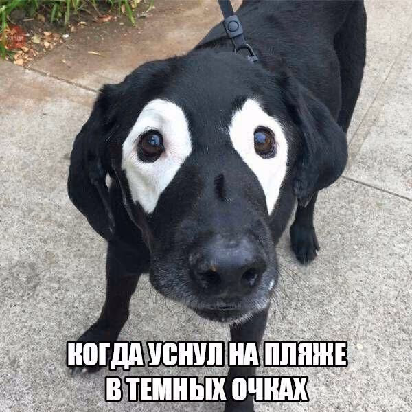9a1f74e9409c6f24f7e52e57a85a09be.jpg