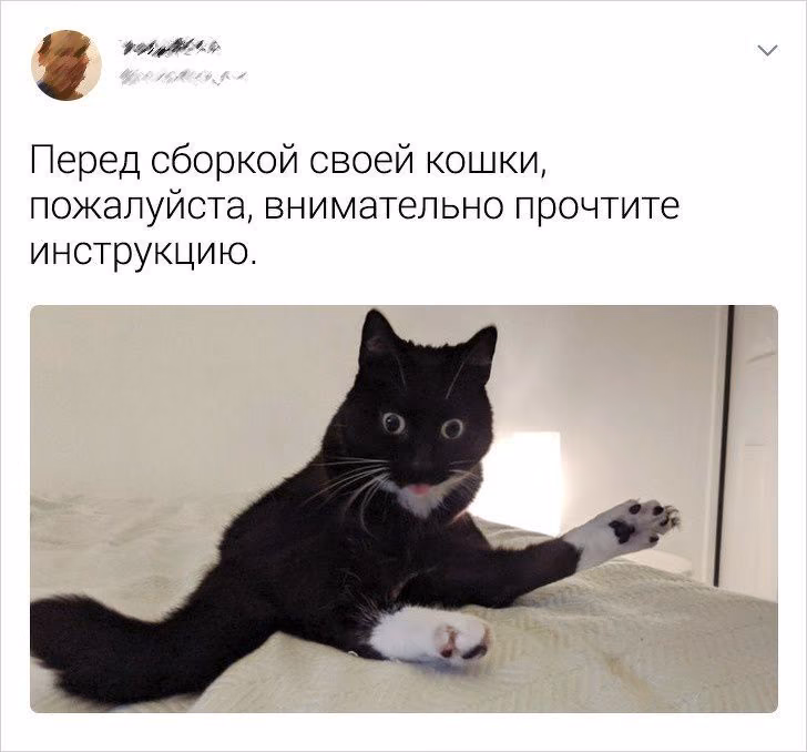 9a2995588d4e74d20256a3533d5325af.avif