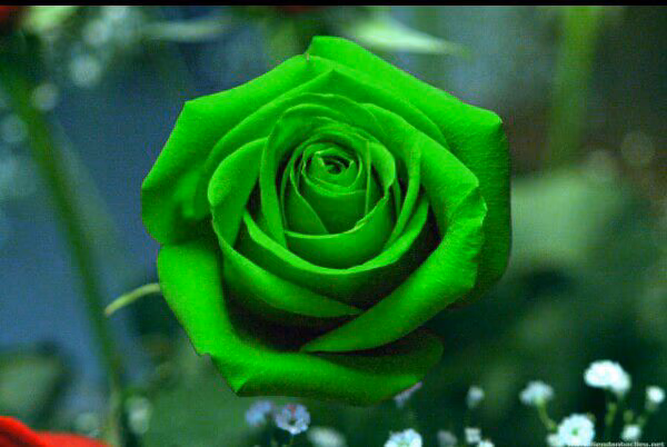 9a2c6d0e7bd2c835e43ea8bff1d4a8f5.jpg