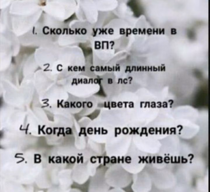 9a2e194bb2f55f2fd69e1f2fcd07d40c.jpg