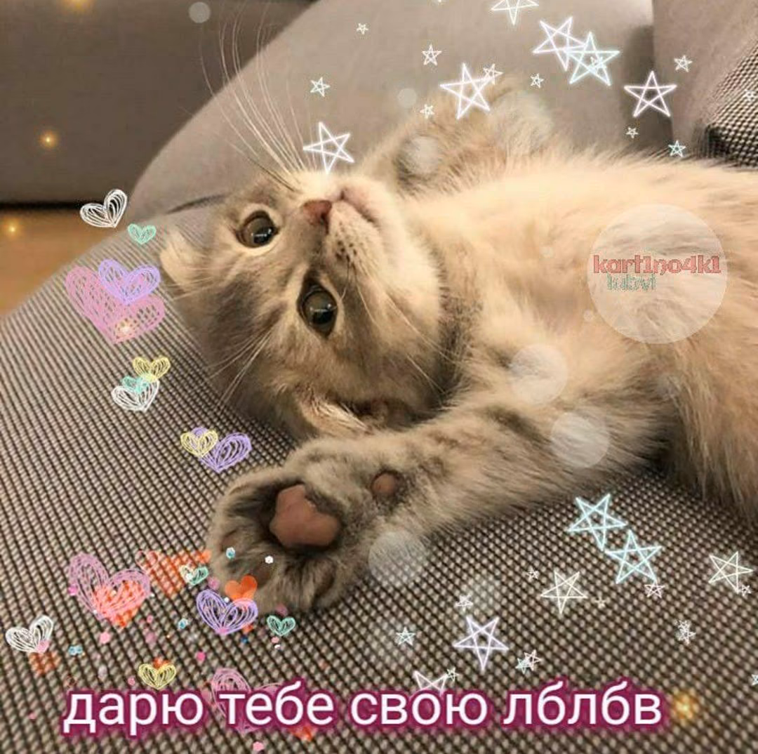 9a5ae4ca50d95229f5180765e23b9e1f.avif