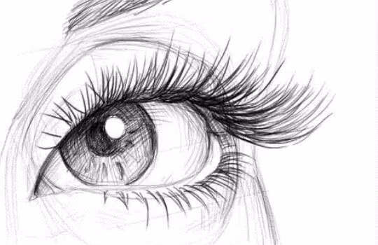 9a614e7bfdb920a196be45a98207c270.jpg